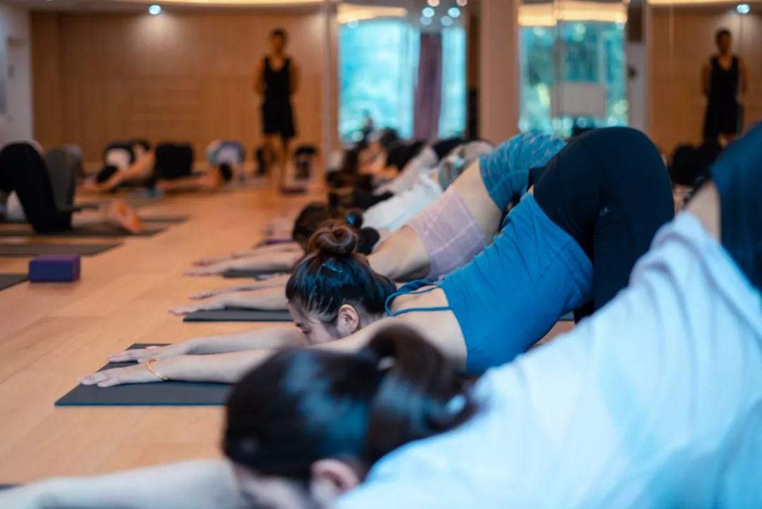 杭州哪里有周末制瑜伽教练培训？