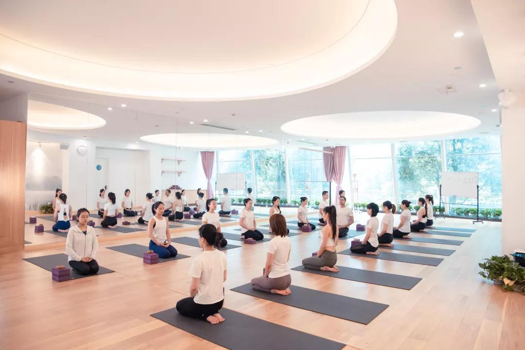 杭州醉瑜伽高级瑜伽体式培训班
