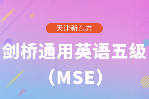 新东方国际教育培训