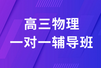 济南迪诺高三物理一对一辅导班价格