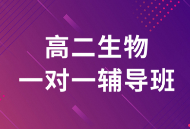 济南迪诺高二生物1对1辅导班