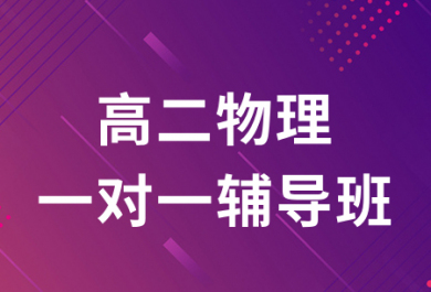 济南迪诺高二物理1对1补习班