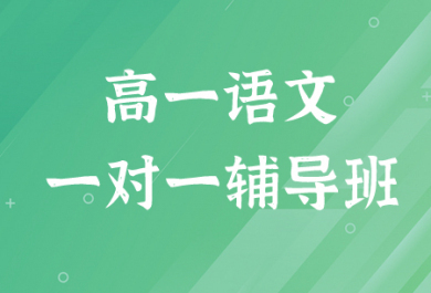 济南迪诺高一语文1对1补习班