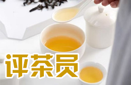 江门点水茶艺培训中心