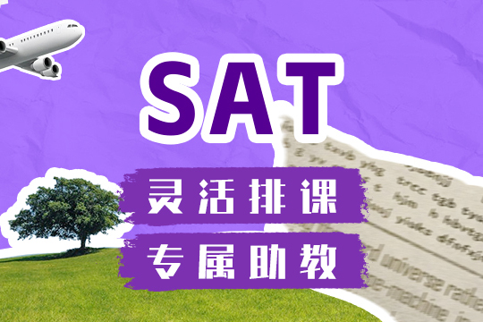 上海维他国际教育