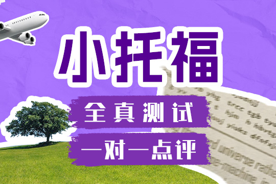 上海维他国际教育