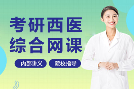 上海橙啦教育