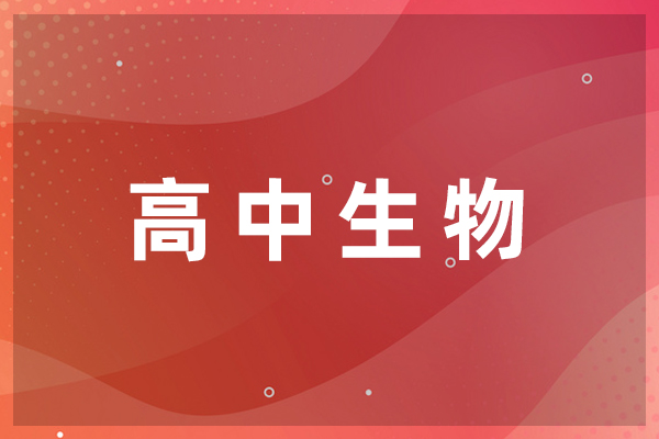 太原学易教育
