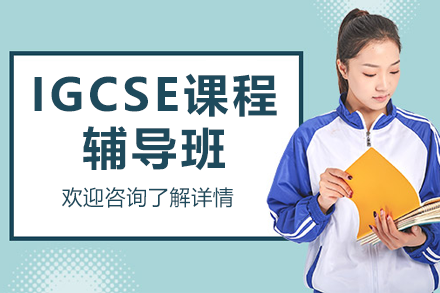 上海星屿国际教育