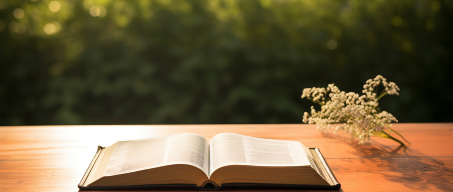 上海昂立智立方高中数学辅导怎么样