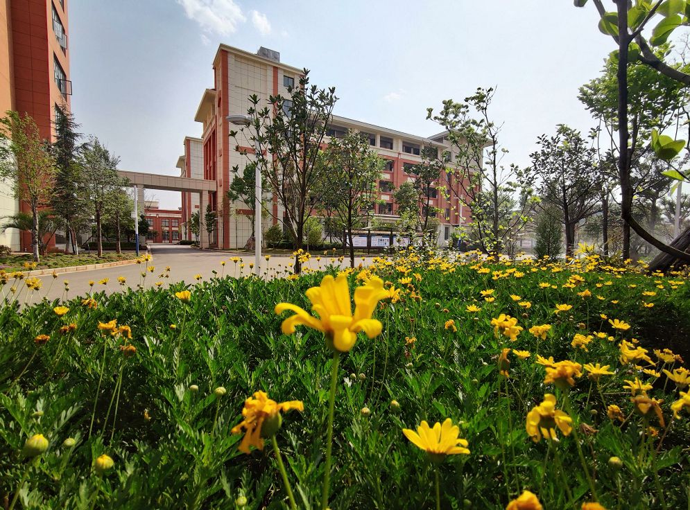 2022曲靖民族中学高考复读文科有多少人?