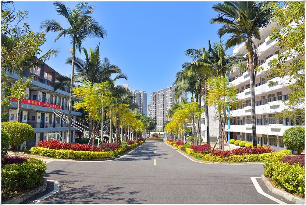 福建经济学校是公办的吗