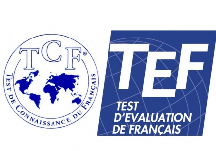 哈尔滨扬格外语