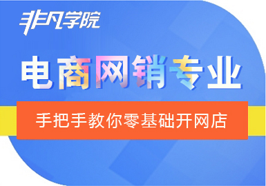 上海网络营销-电商-网络营销就业班