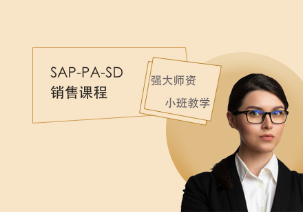 SAP-PA-SD销售课程