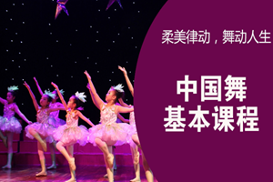 蘇州少兒中國舞基本課程
