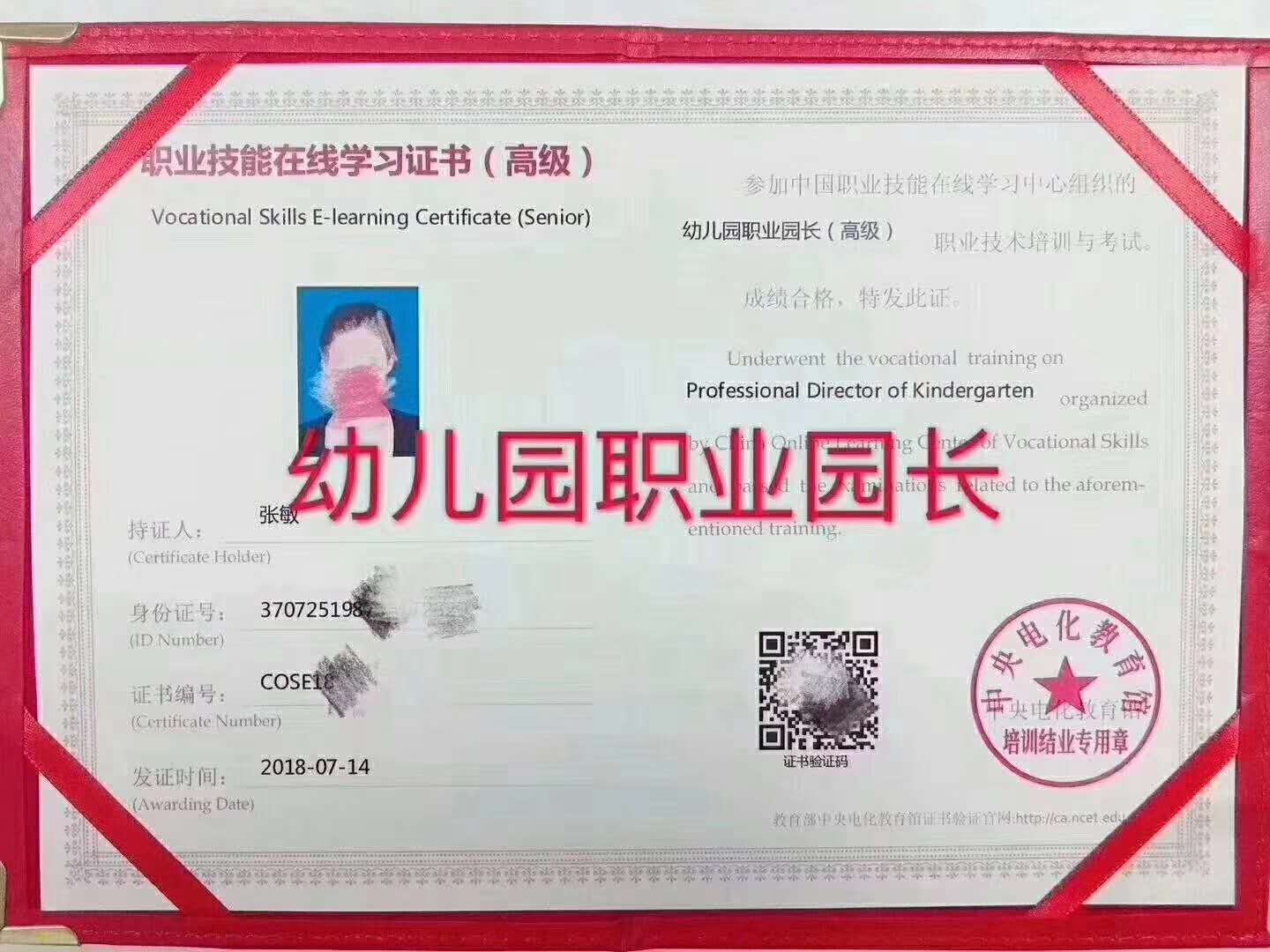 中央电教馆幼师证 幼儿园园长证报名