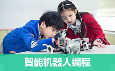 深圳童程童美智能机器人编程课程