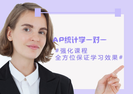 AP统计学一对一课程