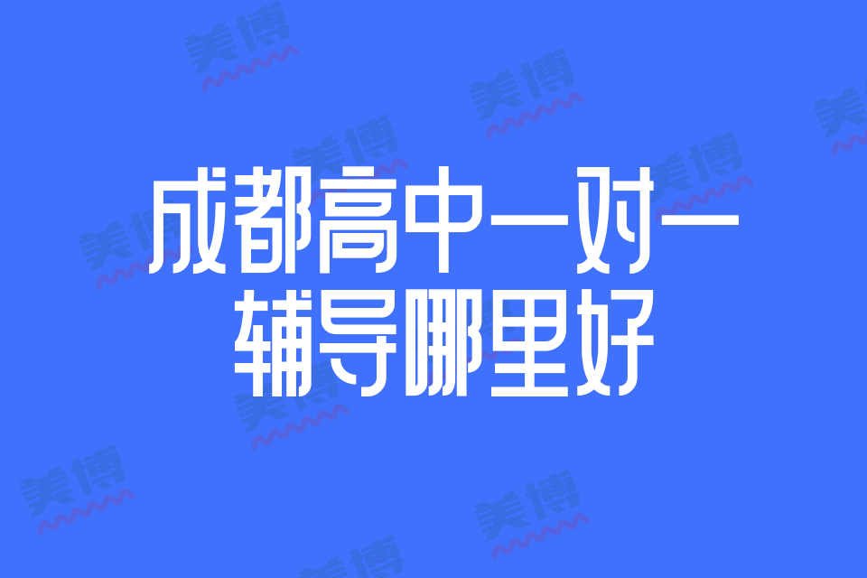 成都高中一对一辅导哪里好，如何选择高中一对一辅导班？