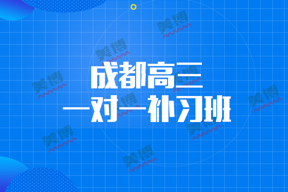 成都市高三一对一补习班费用，高三语文基础知识学习技巧（二）