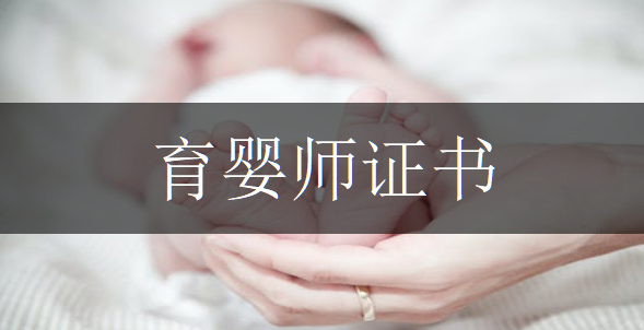 育嬰師證書考試的常見問題解答與備考建議