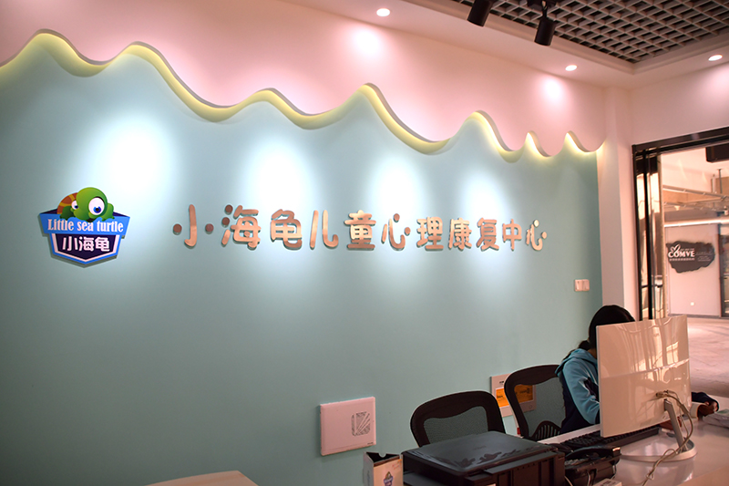 芜湖小海龟儿童心理康复中心——语言发育、自闭症、感统、多动症训练中心