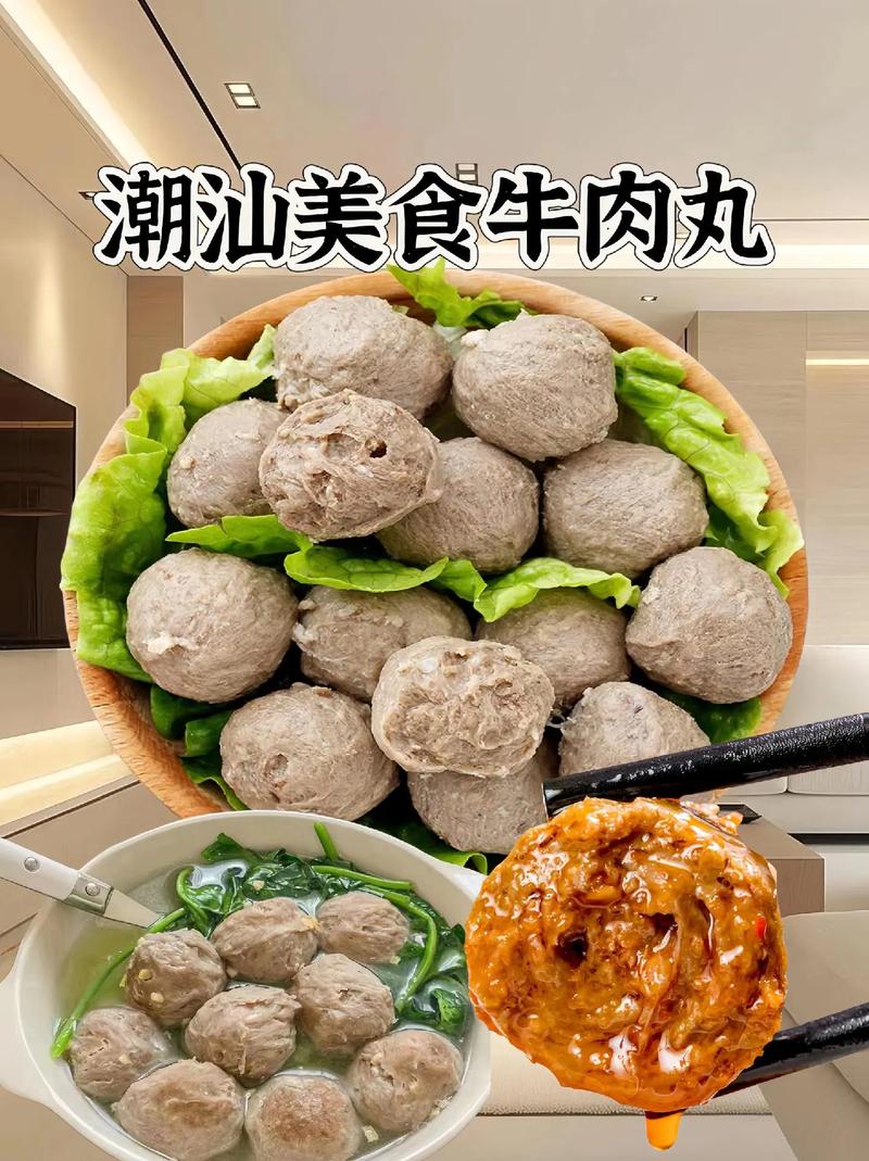 哪里有潮汕牛肉丸培訓(xùn)