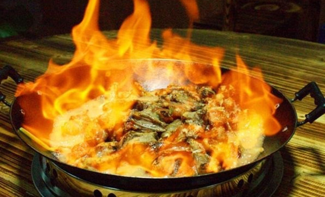 醉鵝培訓(xùn)靠譜嗎