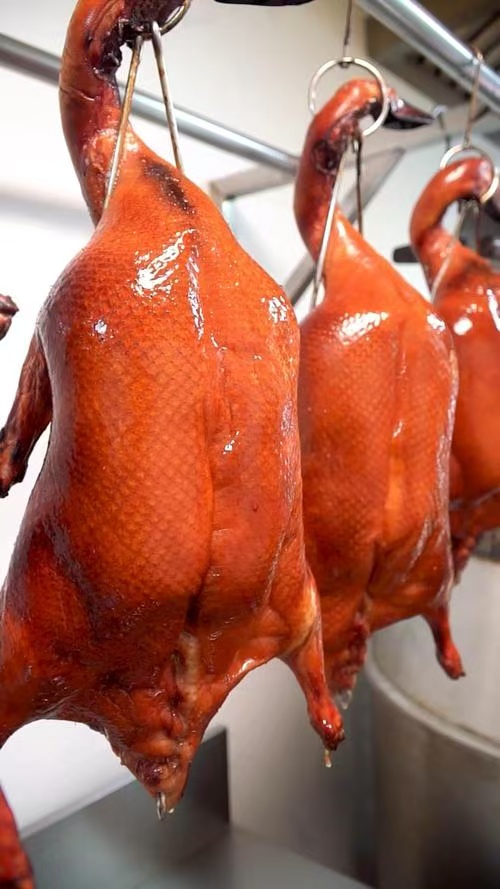 哪里有廣式燒鴨培訓(xùn)中心