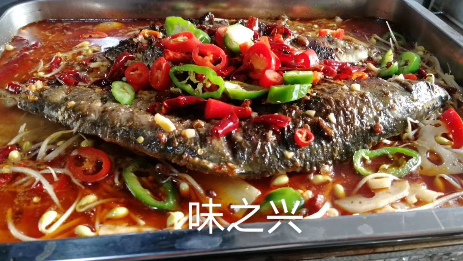 在广州哪里有万州烤鱼培训