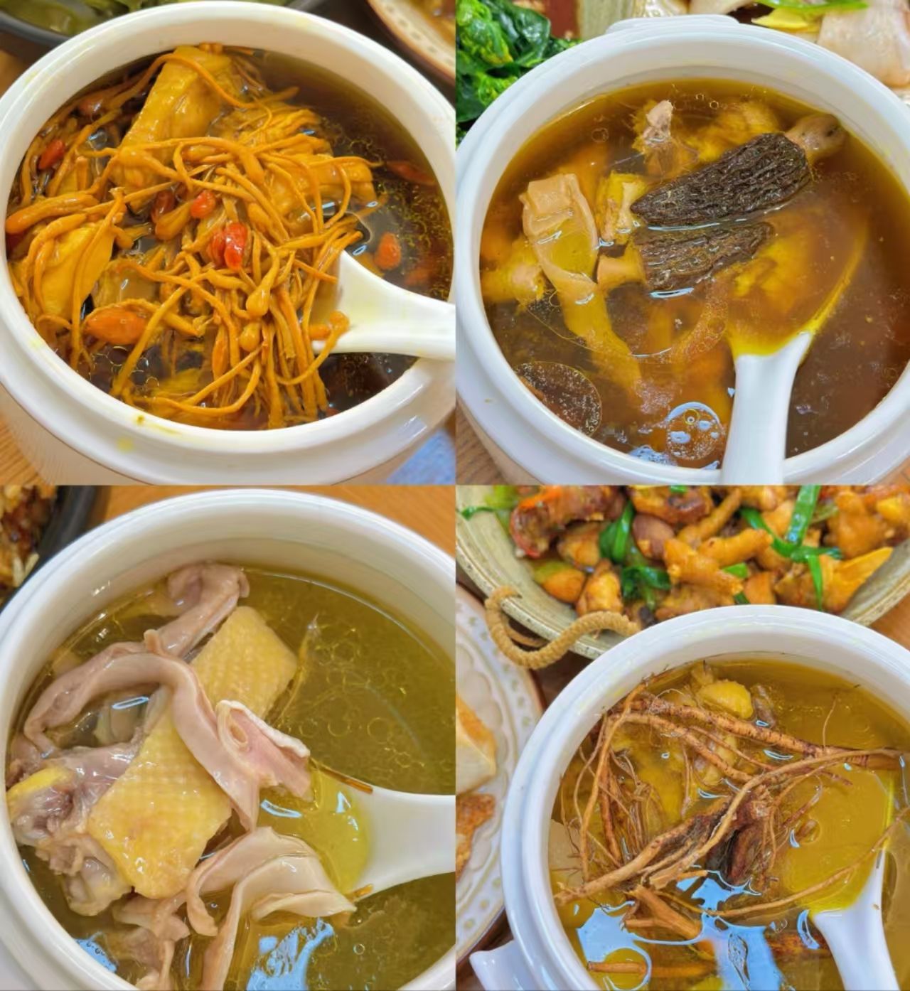 廣式燉湯創(chuàng)業(yè)核心技術(shù)培訓(xùn)