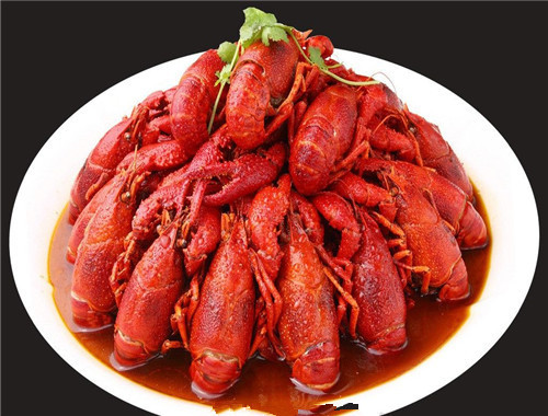 河南香辣小龙虾培训学校