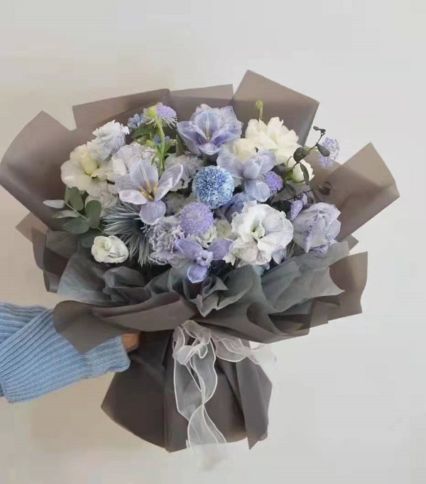 花艺设计色彩搭德信娱乐配pdf