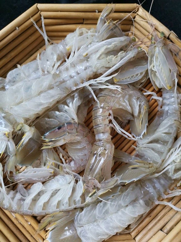 椒盐弹虾做法-培训通