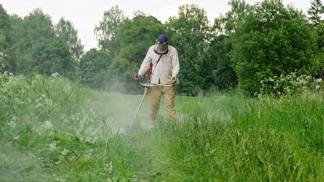 石家庄中级会计职称培训班是哪些