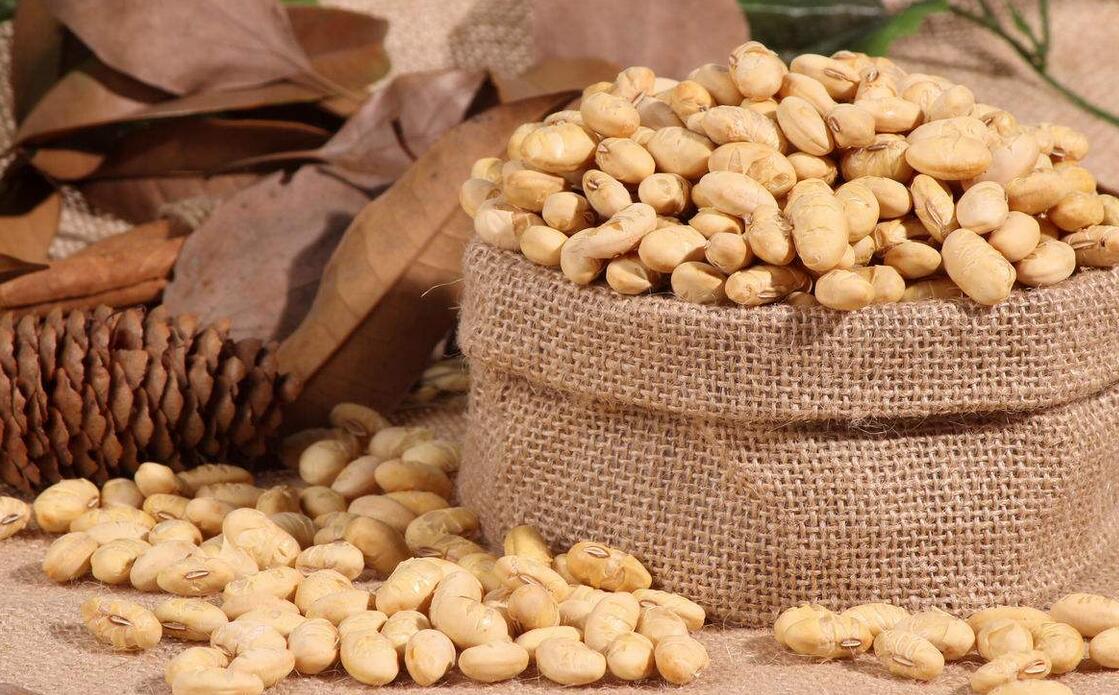 正宗炒货培训学校