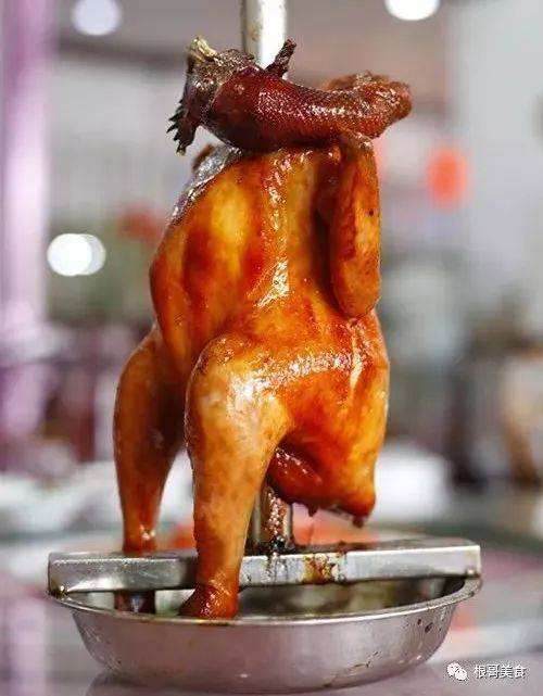 自己可以动手操作学习的栋企鸡培训班