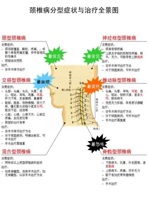 博乐柔性零力度正骨整脊专业培训