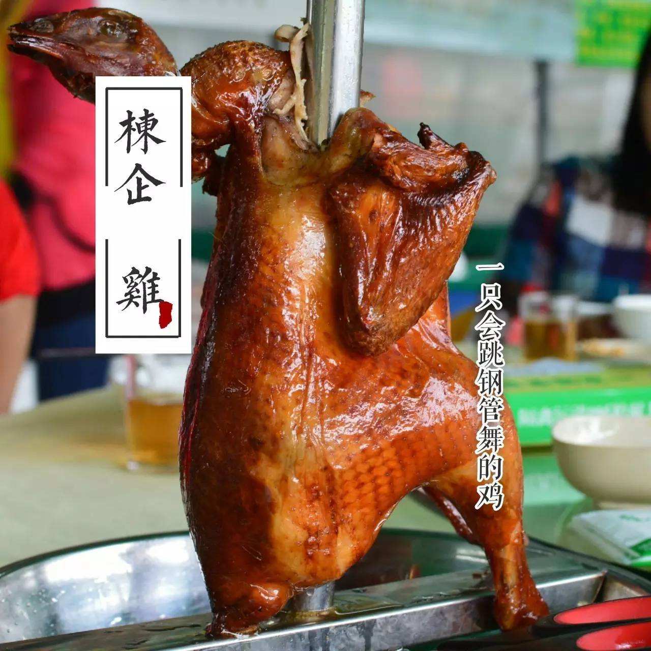 广东专业栋企鸡培训学校免费咨询